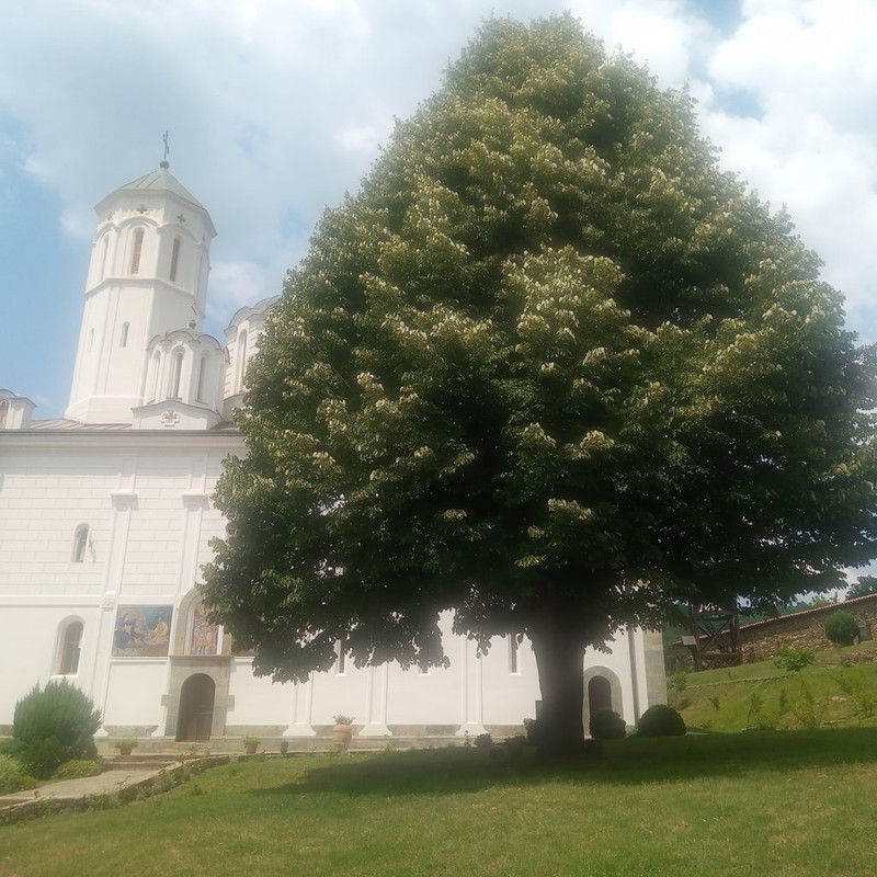 Slika
