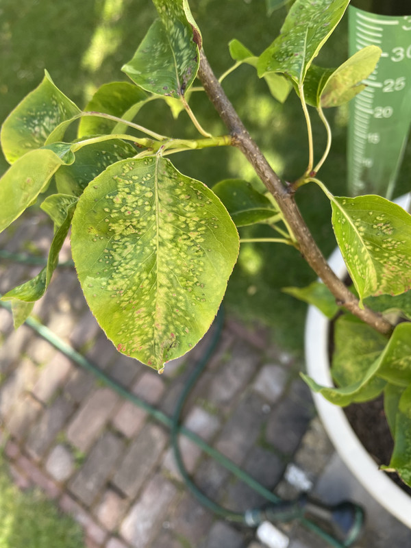 74C857AD-B450-4076-B324-6BFE5E85269F