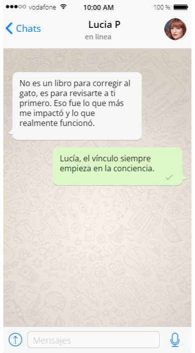 Testimonio tutor gato 2