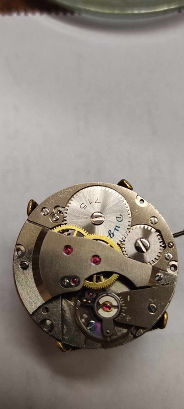 393283820_1730785110729889_4148242857094645473_n (1)