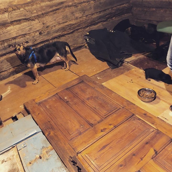 Марта малятко5