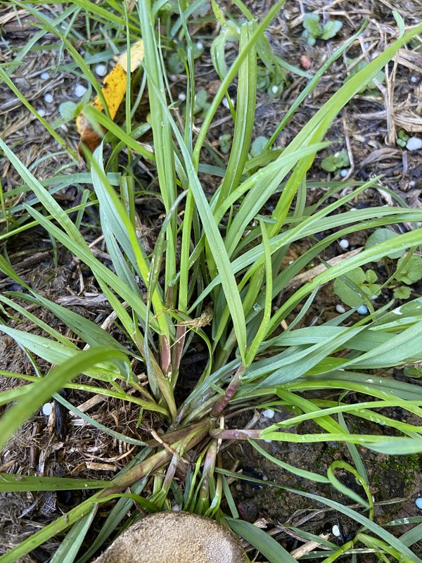 9E8C4FD7-8FB4-4AFC-9190-C06C6FB44835