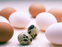 Эксперты разрушили миф о пользе перепелиных яиц