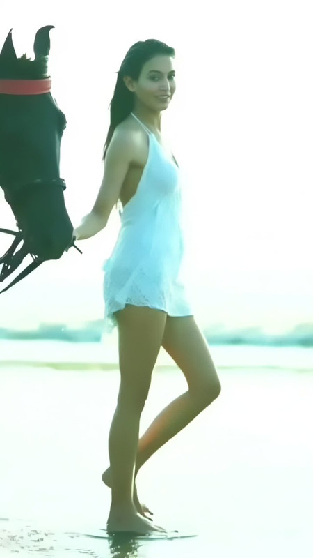 IMG_20241105_233238_875