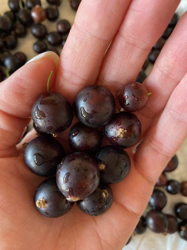 A0812C2C-7B5C-4B47-8099-4161DBA38811