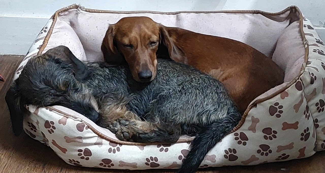 [Image: 20250704-223051.jpg]