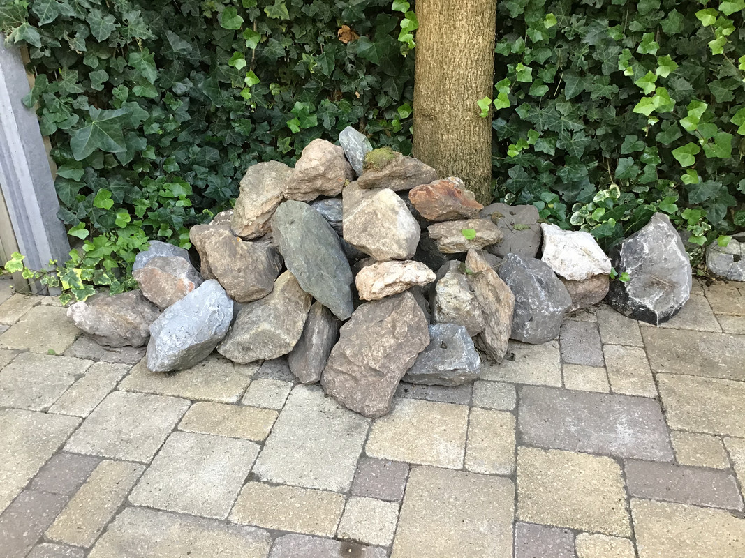 77C9B0CA-E07B-4A62-B9D4-1CEA2FDB0D55