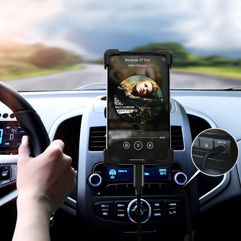 Premium AUX Cable in Car