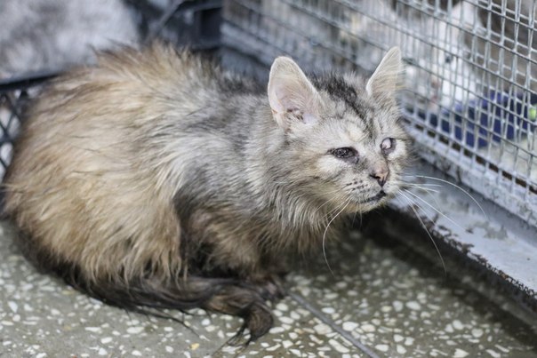 A6CC5A07-08B6-4F20-A88F-9CBD6082438F