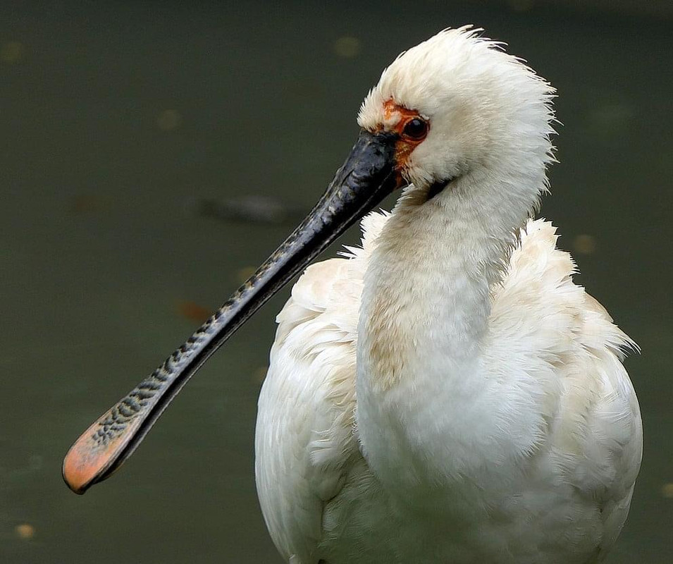 507B9FD8-783E-4FC6-A633-80277FBBF99C