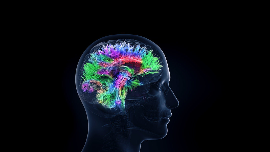 Decoding the Brain Goes Global With the International Brain Initiative…