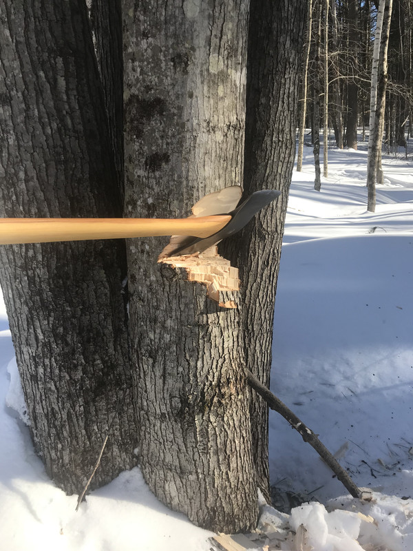 0EEE552F-0DBF-4BD0-AD84-5AF29D3BAC2D