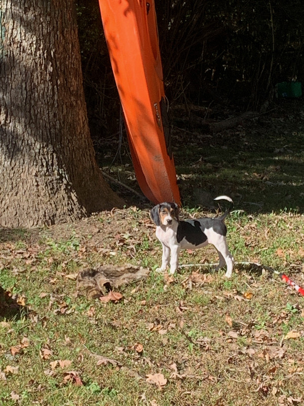 E69CE157-ED8E-4EB7-8F47-156121375A8A