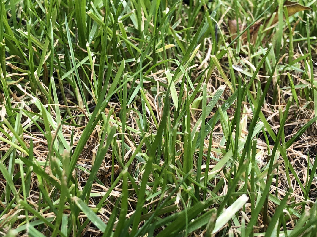 FACDD42F-6E98-4F29-8030-689A158EF39B