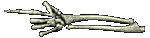 skeleton