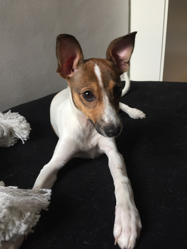 D794F5E0-359D-4B99-BDC7-AA8D2328E68C