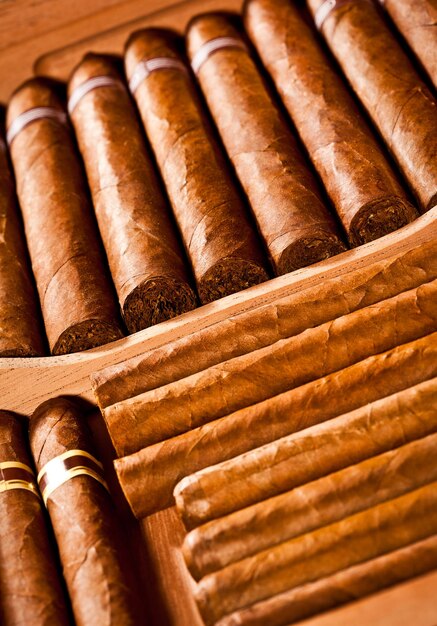 cigar
