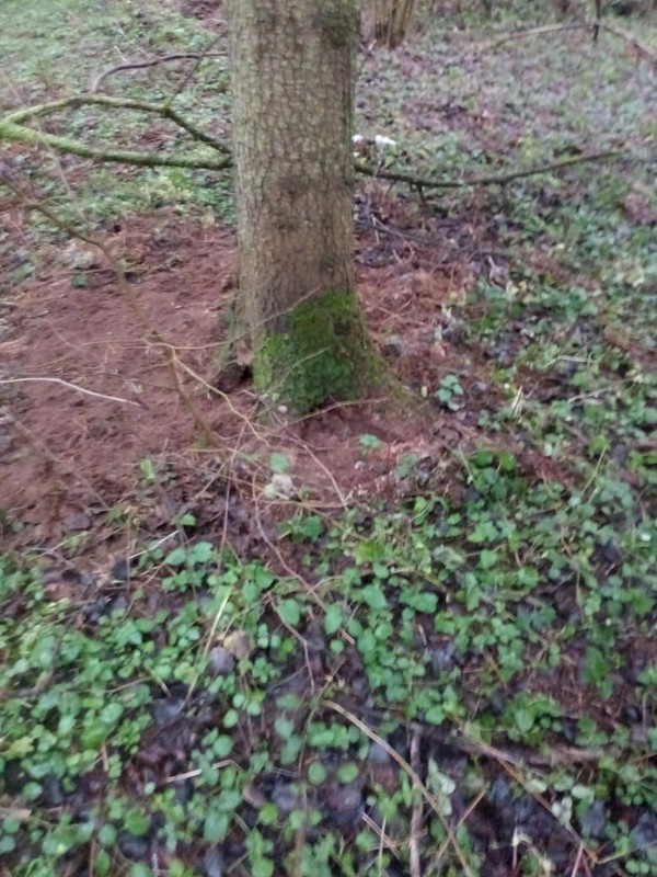 9CD5FB31 BA24 47BA 8456 2592A41F767B