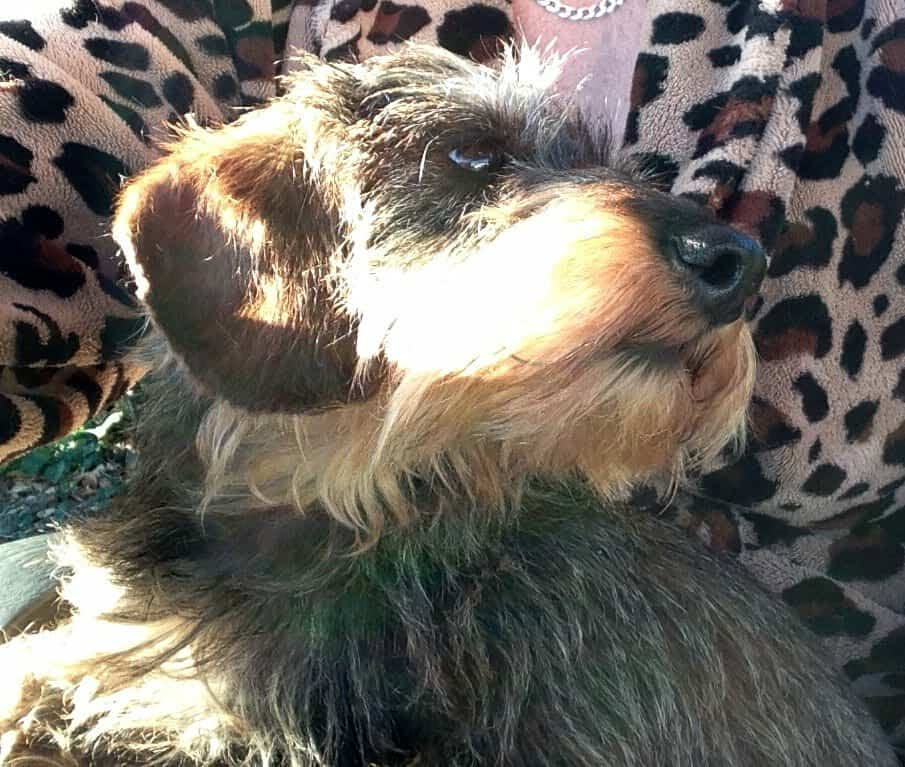 [Image: IMG-20250711-194927.jpg]