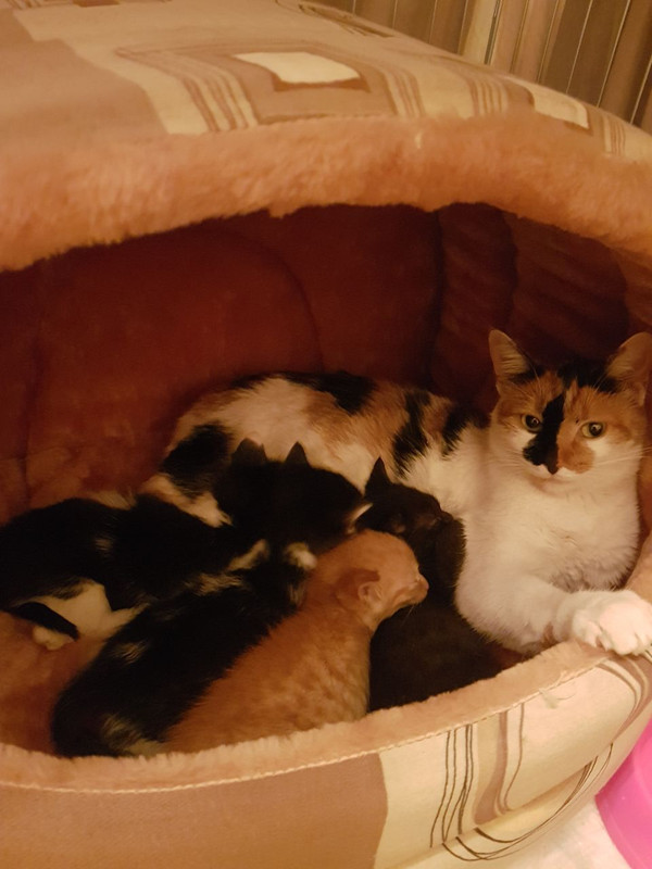 A871ECDD-62D4-49C3-A5F6-5FC26CB33307