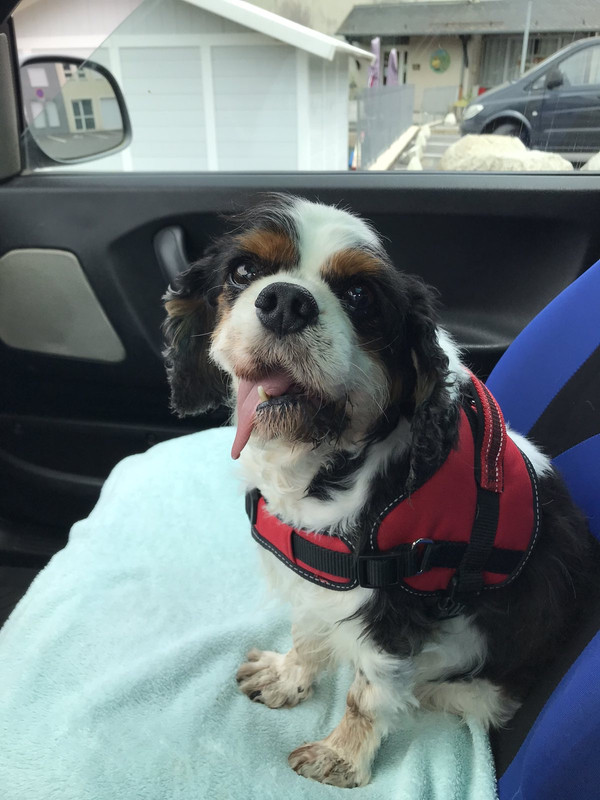 9481433C-5352-44FA-BFA3-A62CF8B383B4