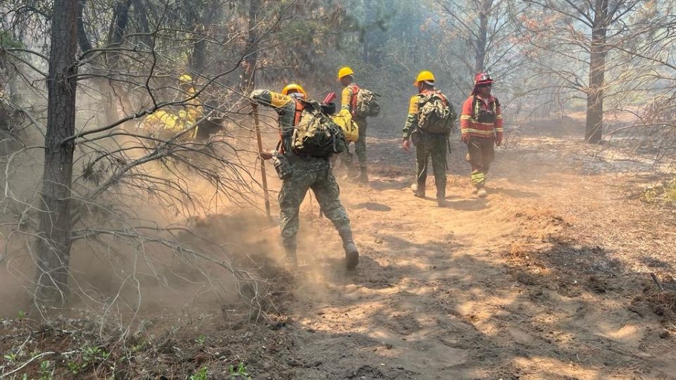 Pese a ayuda de México, incendios en Chile no paran: Decretan toque de queda en zonas afectadasEl Gobierno de Chile decretó toque de queda nocturno en las zonas más afectadas por los incendios en el centro y sur del país; esta es la ayuda que ha enviado México 