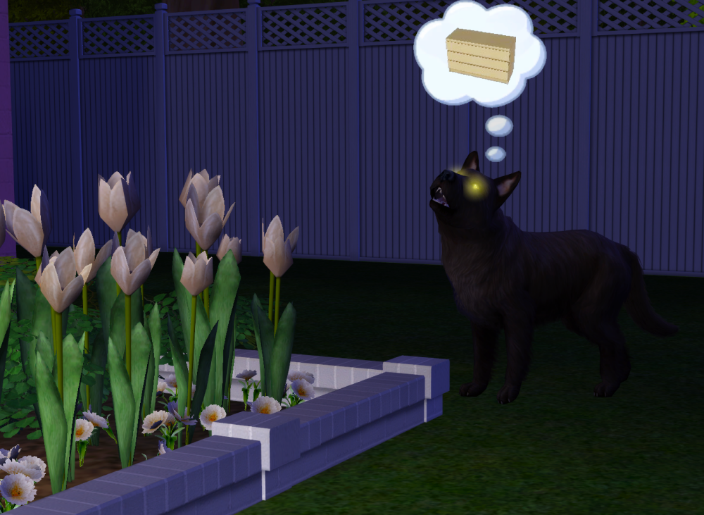 Sims2-EP9-RPC-2021-08-31-20-18-44-89