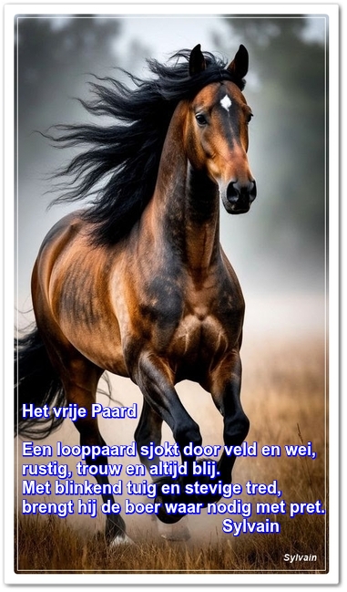 oie-ni-By-IN7-Cj-SWG