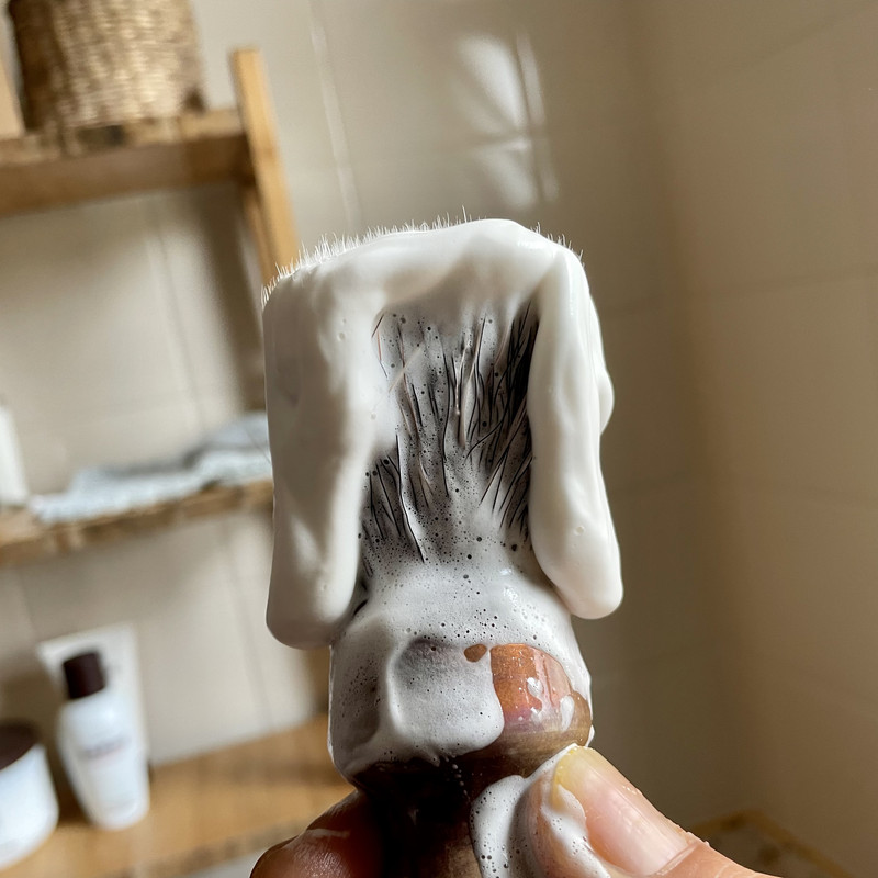 2C2C3EF9-EB93-43D0-B4F3-39212586A3C7