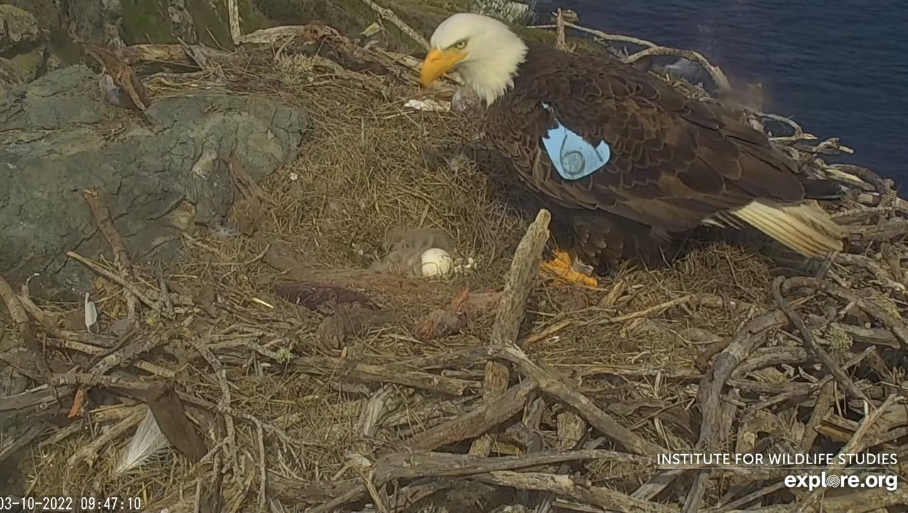 842123CD-CEDE-439F-805E-5AEB2C7A2930