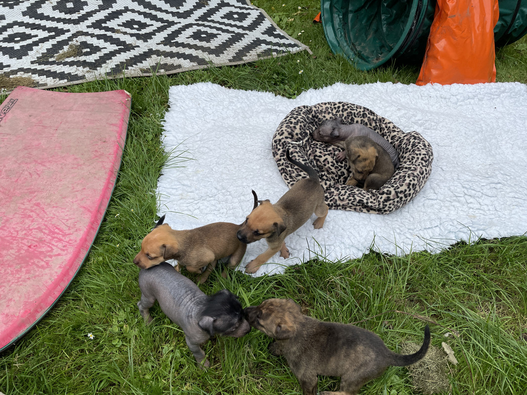 0F84E5C3-187A-4C9D-9229-533473E62DC1