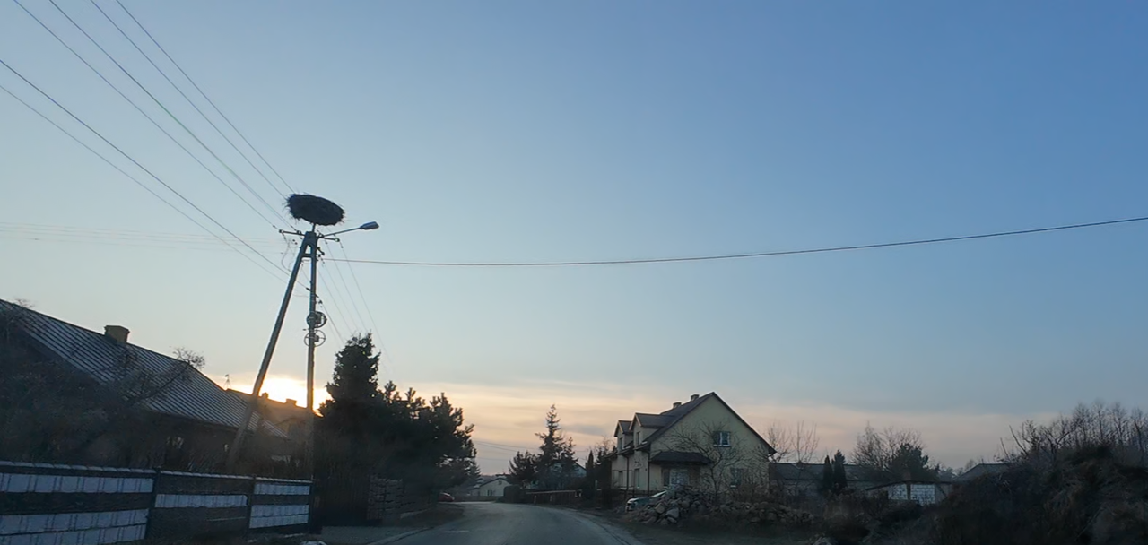 25022025staregniazdo