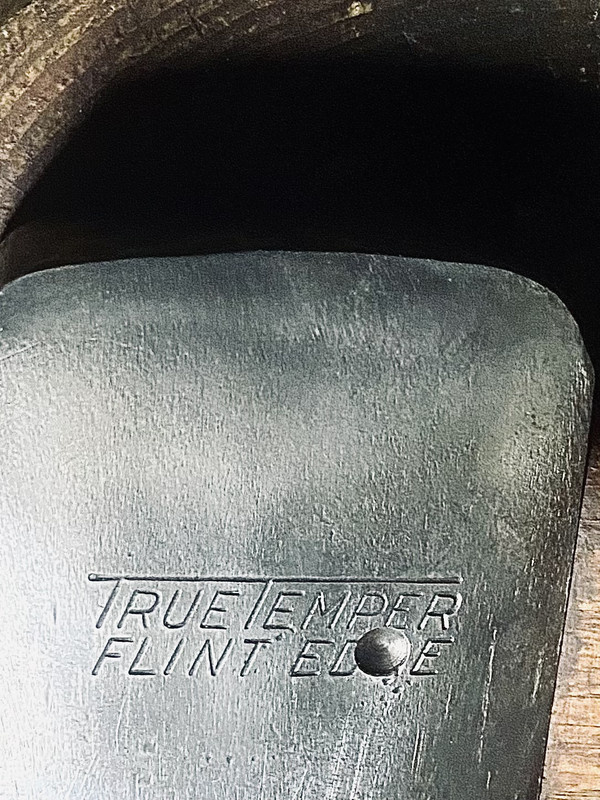 DA153E89-9DAE-4507-B2FF-231D556FD27D