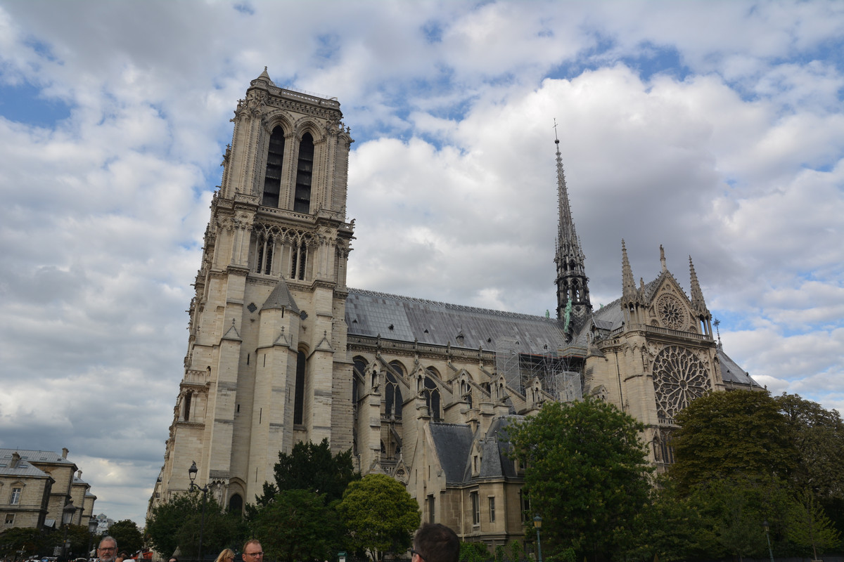 17.19 - DSC_9013 (Ater)