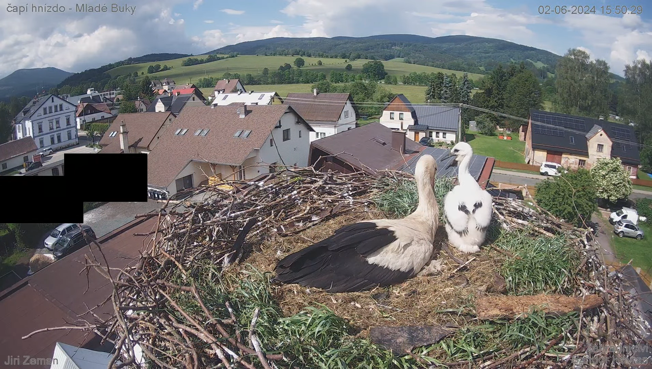 Tiešraides kamera — Mladé Buky — stārķa ligzda 11-57-43 screenshot
