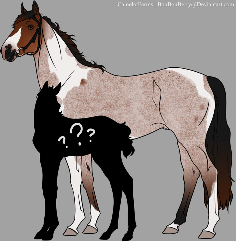 63040588-6E9D-483B-A701-5F4E3B5AAB9B.png