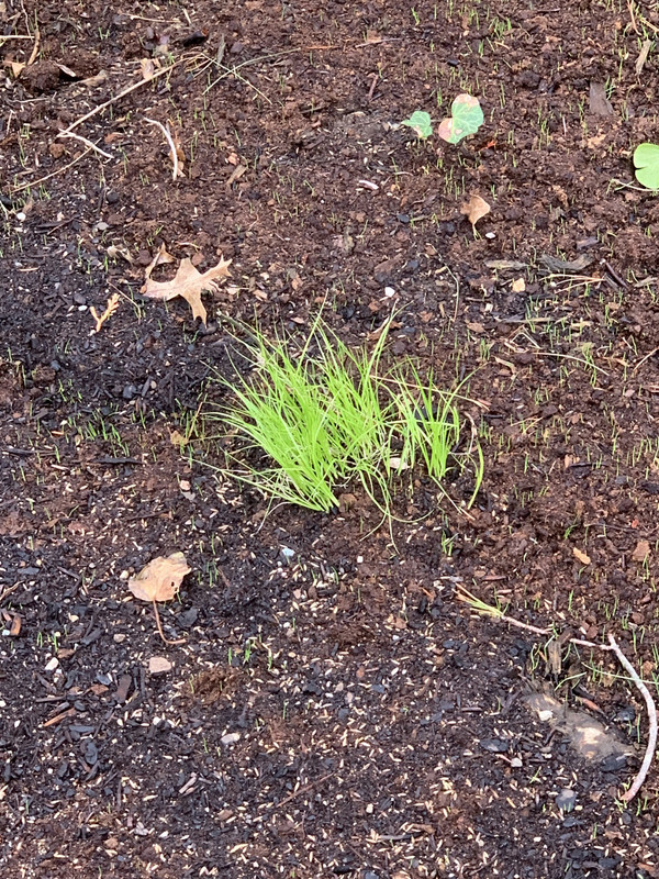 2361F97F-7282-4C2E-8114-0CF03813592A