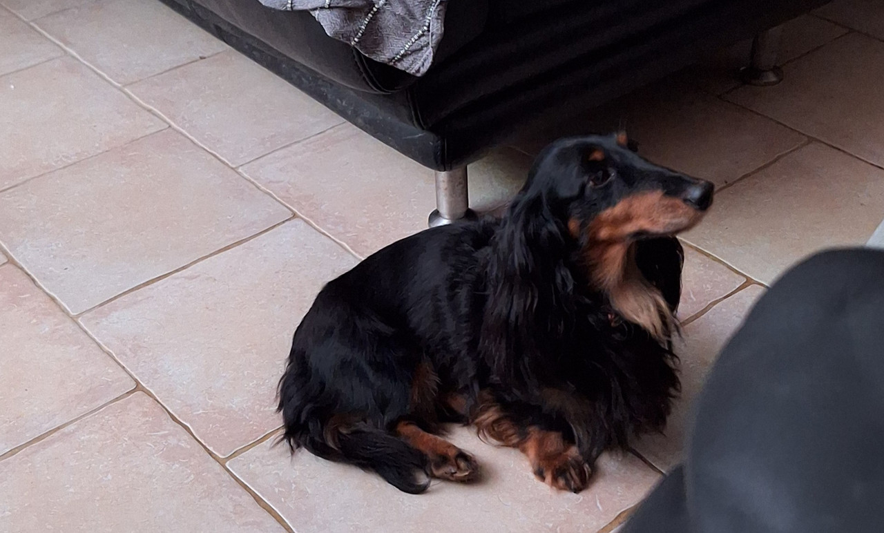 [Image: 20250107-205556.jpg]