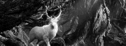 https://i.postimg.cc/wTmT19vD/1.gif