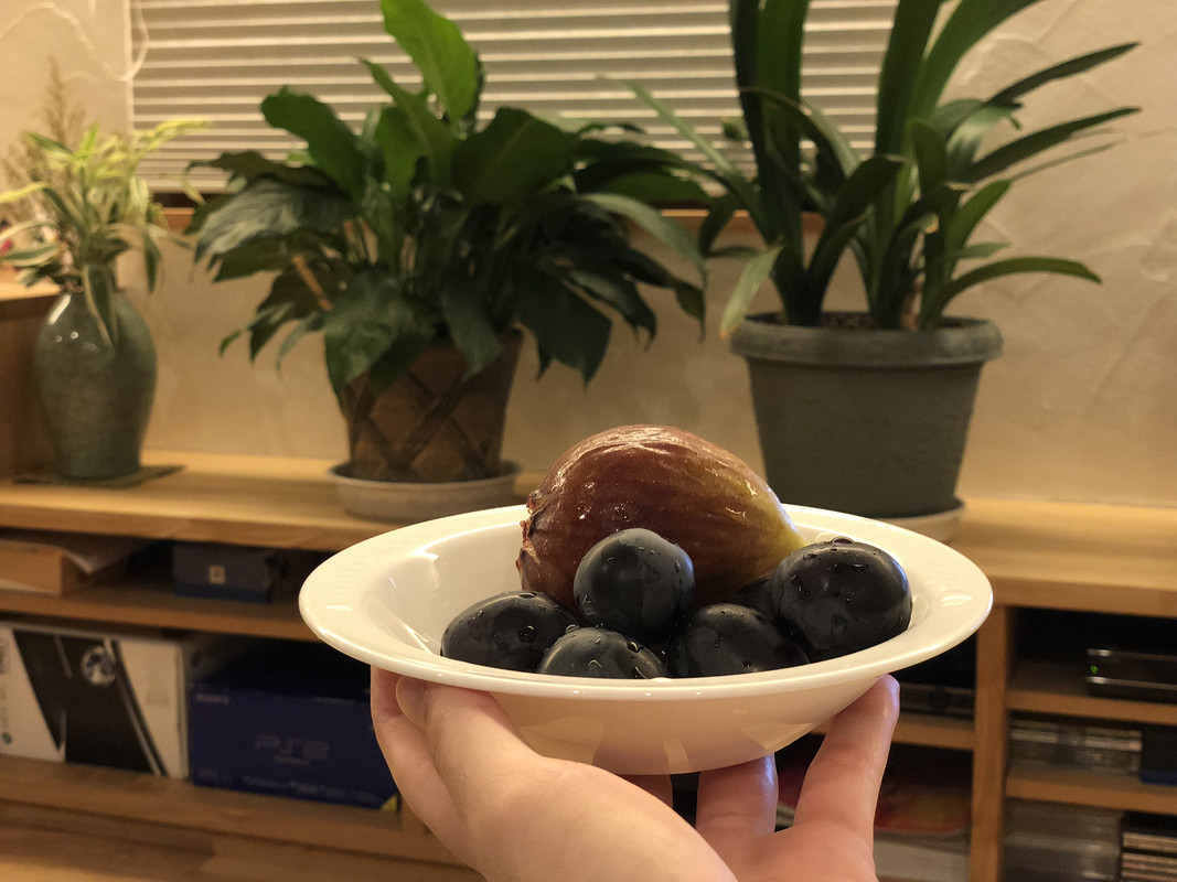 8E37EB19-FBF9-4FD5-9CF3-44AE485DE942