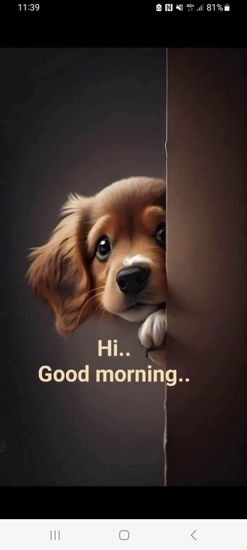 FB_IMG_1743007795236