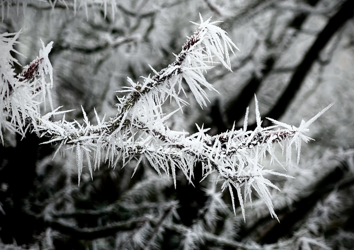 C4690E31-CBC9-4768-AFBA-46C85E265A6A