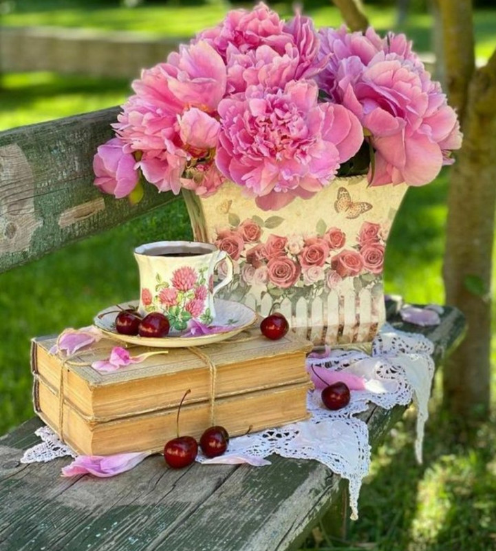 Screenshot_20230124_002526_Chrome