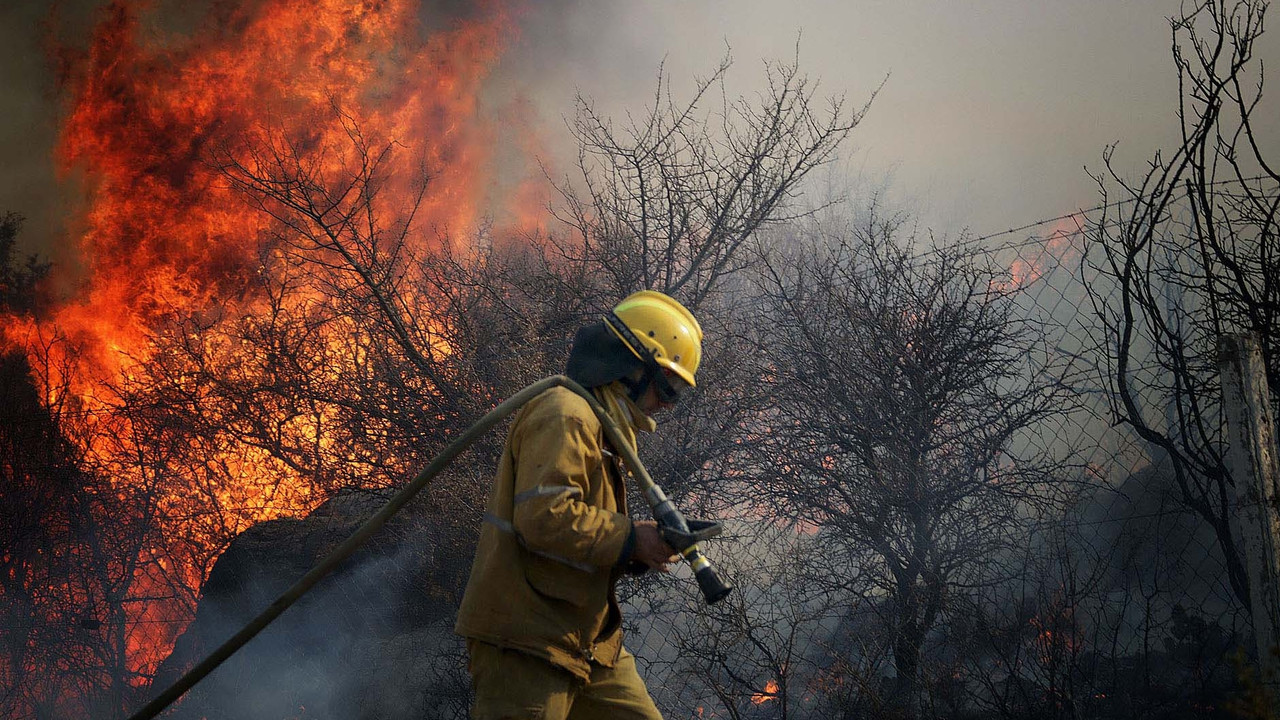 Por incendios en Argentina, una familia fue obligada a abandonar a su perro