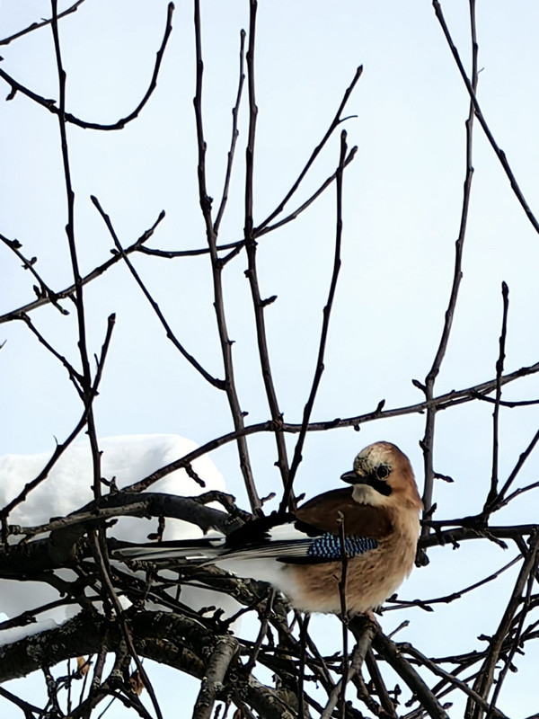 изображение_viber_2024-04-07_09-12-02-633