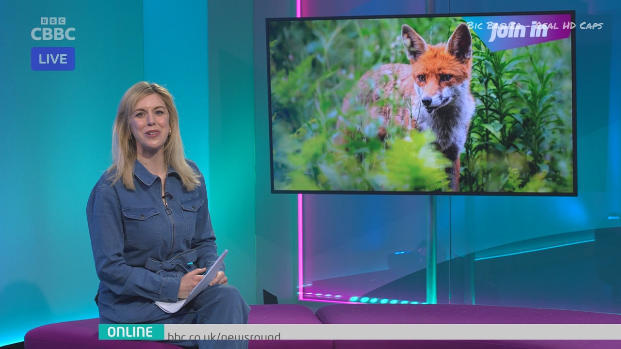 Newsround_20250421_07450755.ts_snapshot_13.24.625