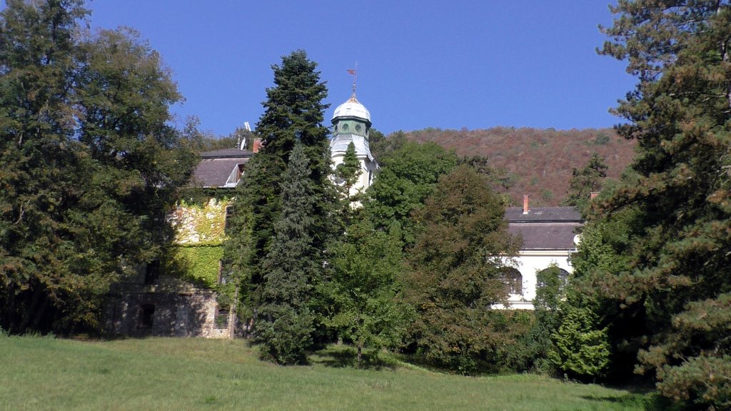 [Bild: S9750019.jpg]