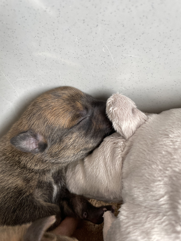 6FF88AD3-DA03-4F6B-BDF5-C0805A9656F0