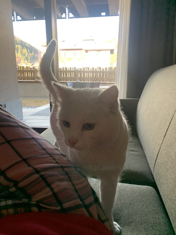 ECF573F4-9C0E-48EC-A714-E3E52F37DB59