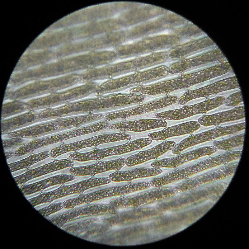 IMG 20250614 111415 HDR